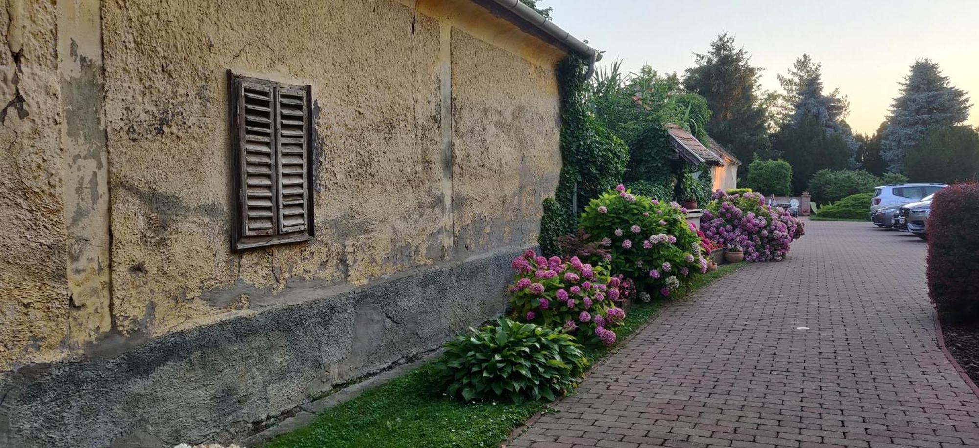 Bed and Breakfast Korona Panzio Балатонберийнь Екстер'єр фото